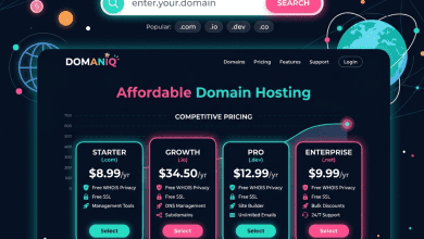 Porkbun Domain Provider - Affordable Registration Service Review - Featured Image